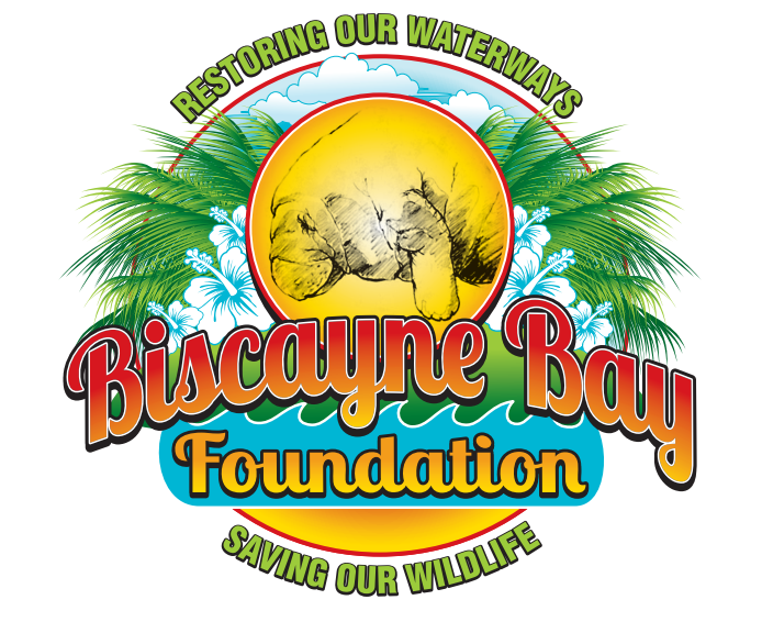 Biscayne Bay Foundation