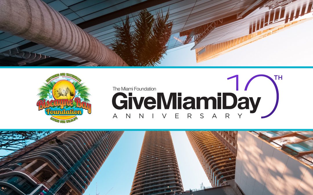 Miami Give Day 2021 for Nonprofits of Miami-Dade County